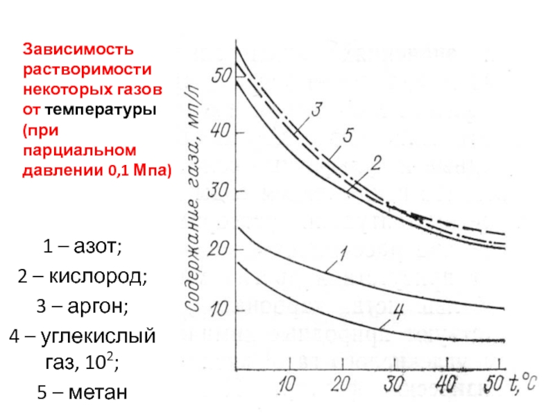 Парциальное давление азота