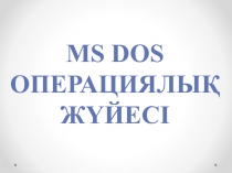 MS DOS операциялық жүйесі