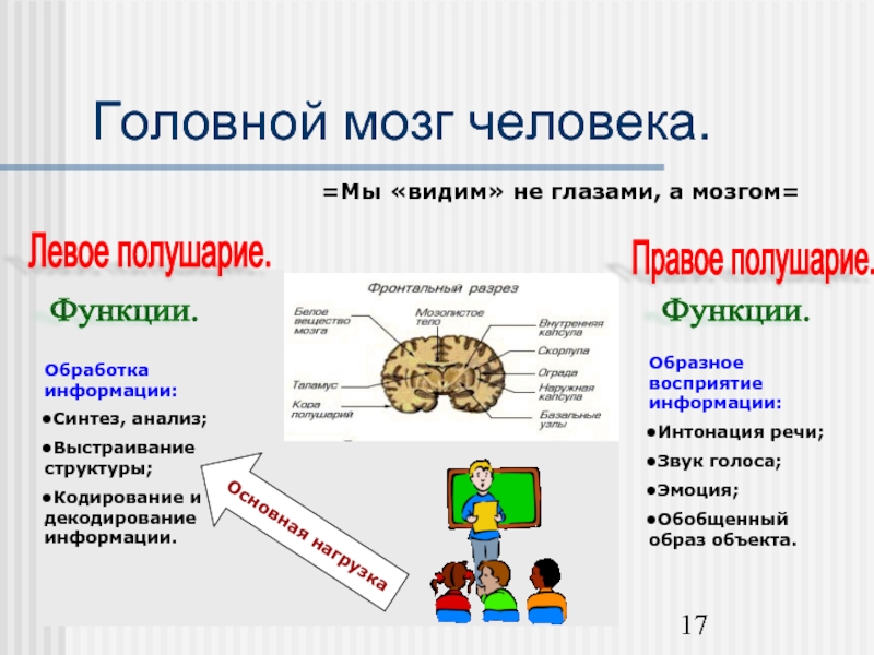 Условия декодирования и кодирования речи нейропсихология схема