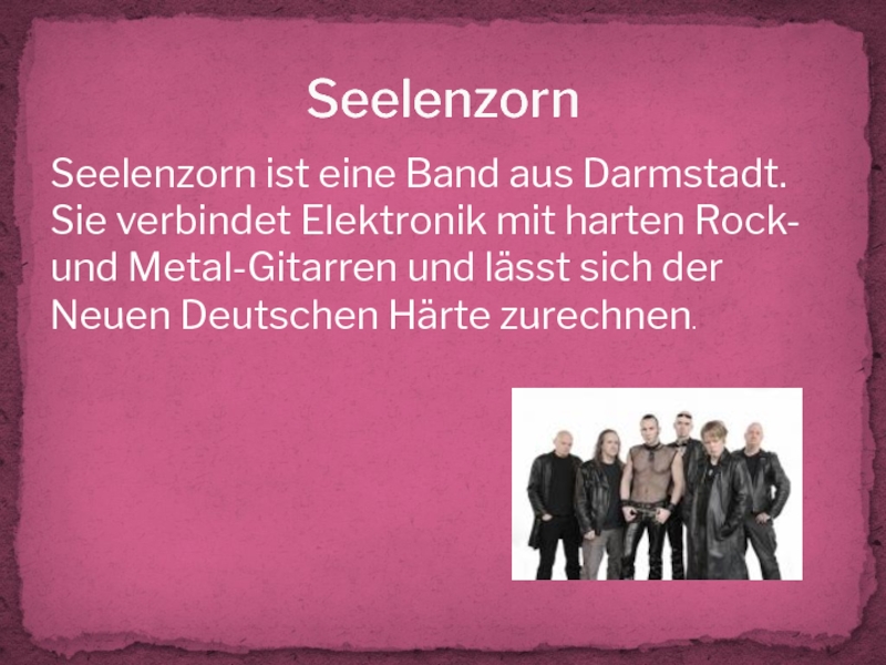 SeelenzornSeelenzorn ist eine Band aus Darmstadt. Sie verbindet Elektronik mit harten Rock- und Metal-Gitarren und lässt sich
