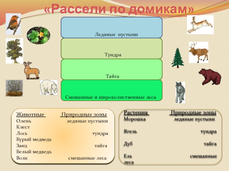 Природные зоны для дошкольников картинки