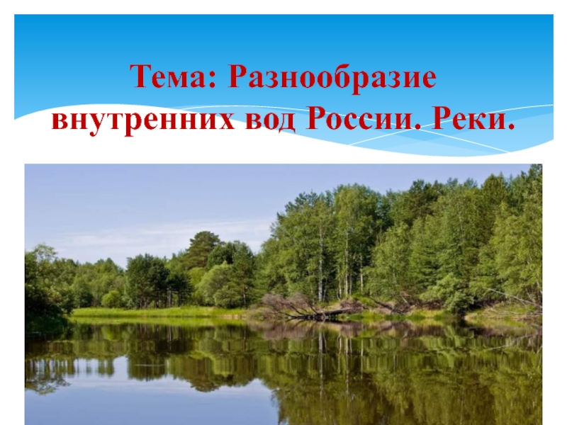 Разнообразие внутренних вод России. Реки 8 класс