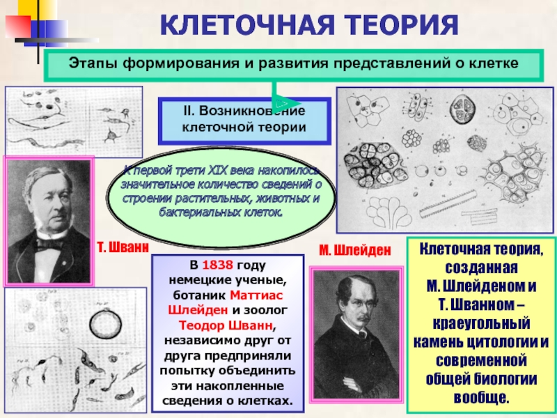 Клеточная теория доказательство