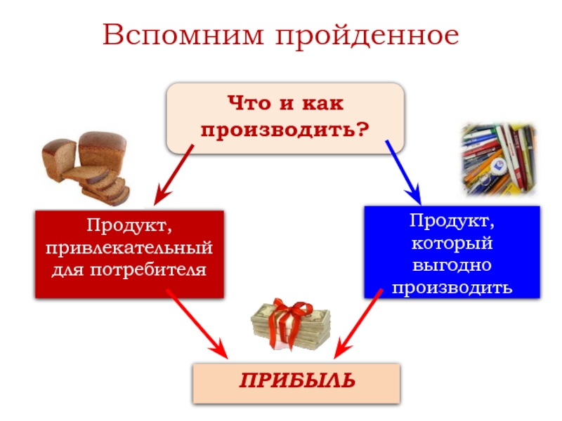 Виды и формы бизнеса