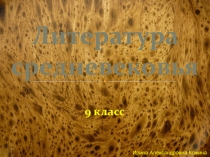 Литература средневековья