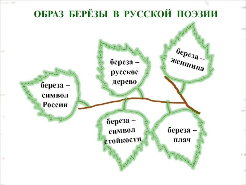 Образ березы в русской литературе проект