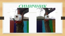 Презентация СИНИЧНИК