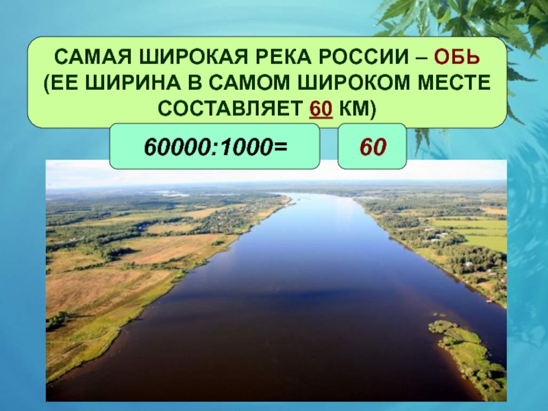 Положение оби. Максимальная ширина Оби. Ширина реки Обь. Самая широкая река в России Обь. Ширина Оби реки.