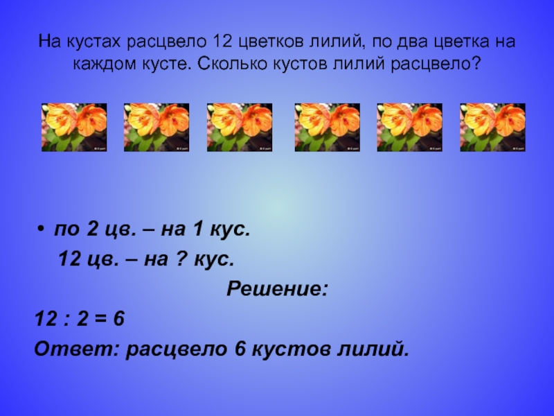 Цветок деление на 2. Два с половиной цифрами. 1 Куст это сколько. На одном кусте сколько оыкв.