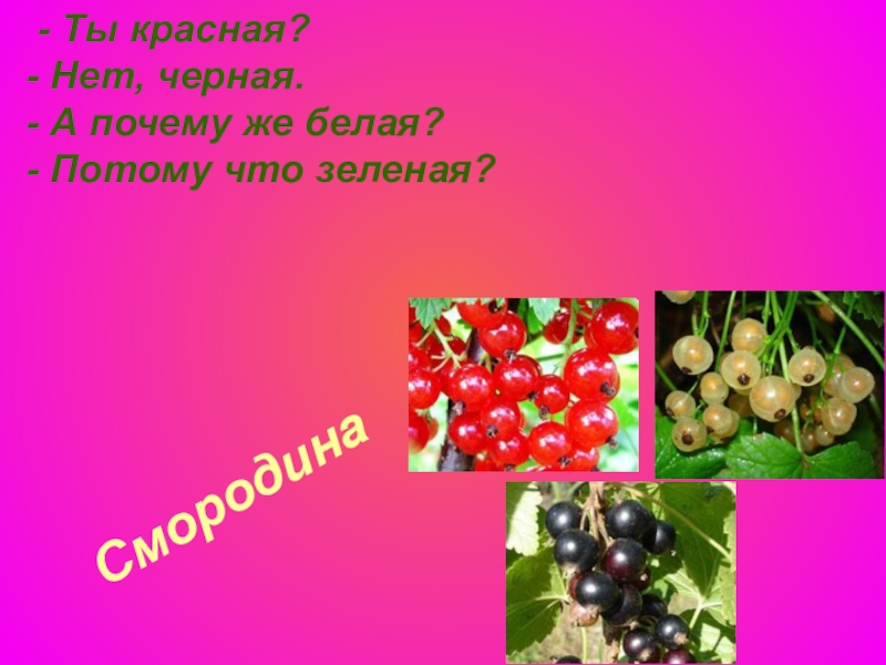 Почему черный зеленее черного. Смородина красная потому что зеленая. Смородина черная почему красная. Почему черная смородина красная потому что зеленая. Смородина красная а почему она белая потому что зеленая.