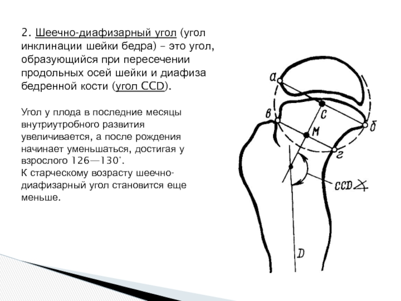 Бедренный угол. Шеечно-диафизарный угол рентген норма. Шеечно-диафизарный угол у детей норма по возрастам. Таблица шеечно-диафизарных углов по месяцам. Шеечно-диафизарный угол норма.