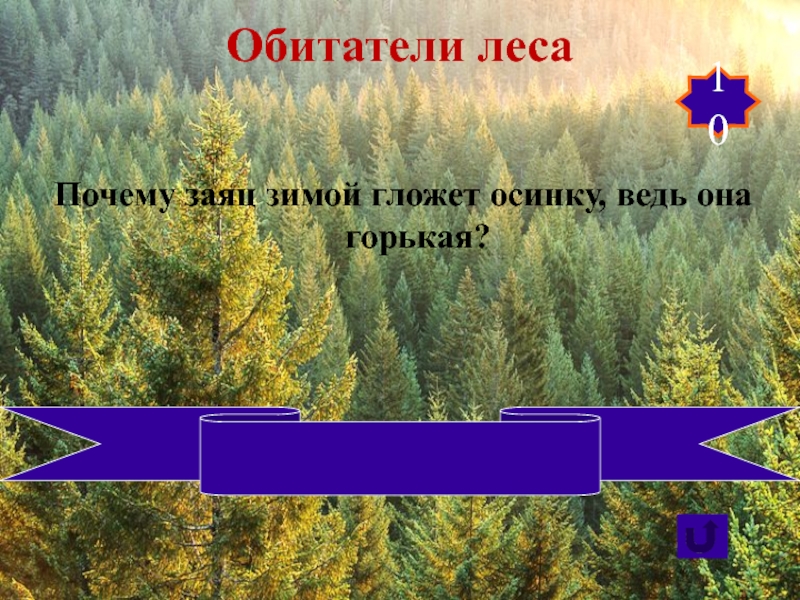 Сохраним лес ответы