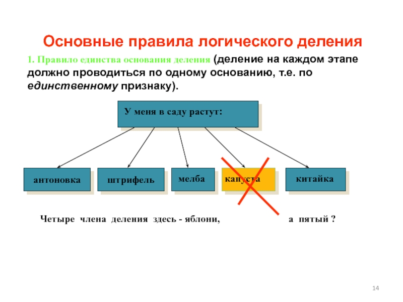 Основание деления. Правила логического деления. Правила деления в логике с примерами. Правило соразмерности деления в логике.