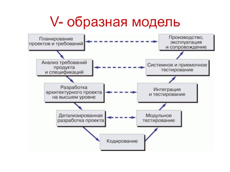 На стадии разработки проекта разрабатывают тест