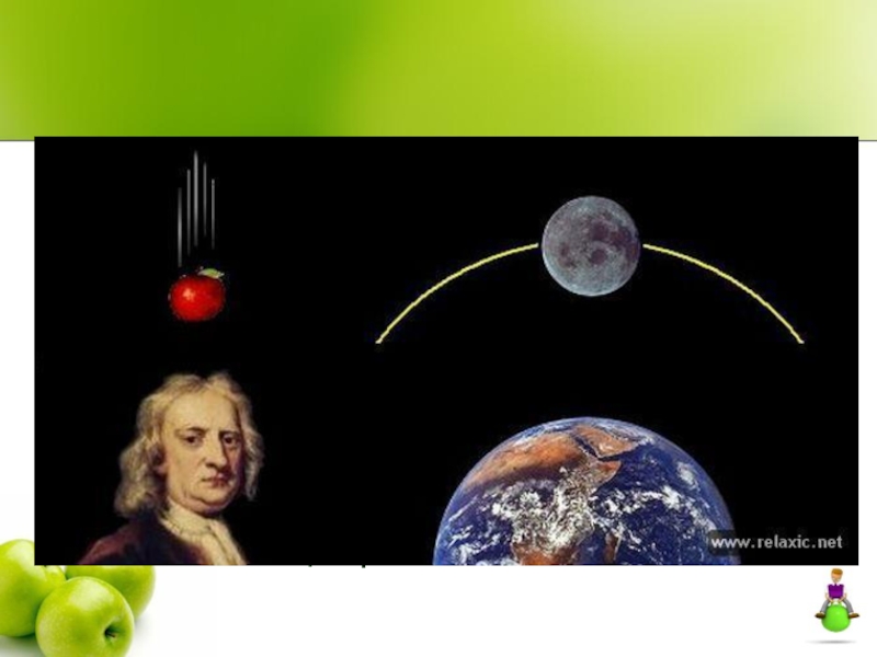 Одно из величайших научных открытий нового времени, по легенде, тоже связано с яблоком. Считается, что Ньютон пришел