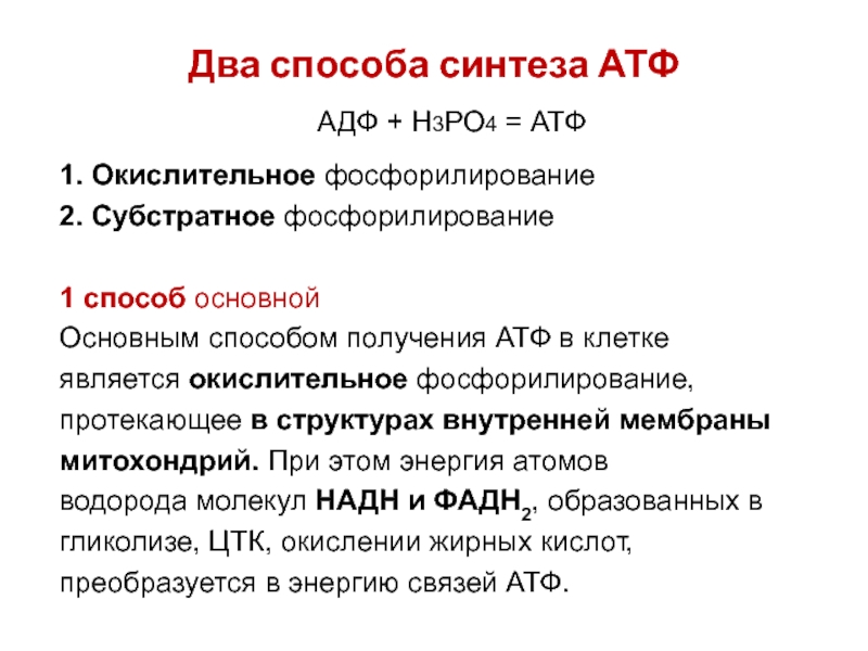 Синтез энергии атф. АДФ + н3ро4  АТФ. Два способа синтеза АТФ. Способы образования АТФ. Пути образования АТФ.