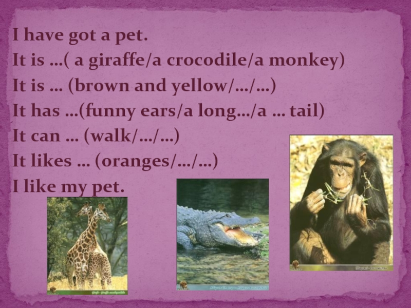 I have got a pet.It is …( a giraffe/a crocodile/a monkey)It is … (brown and yellow/…/…)It has