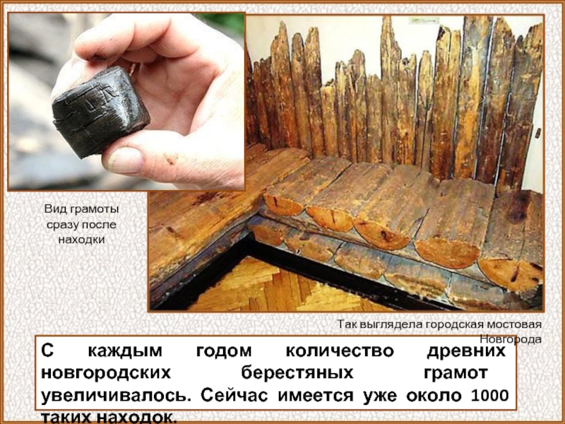 С каждым годом количество древних новгородских берестяных грамот увеличивалось. Сейчас имеется уже около 1000 таких находок.Так выглядела