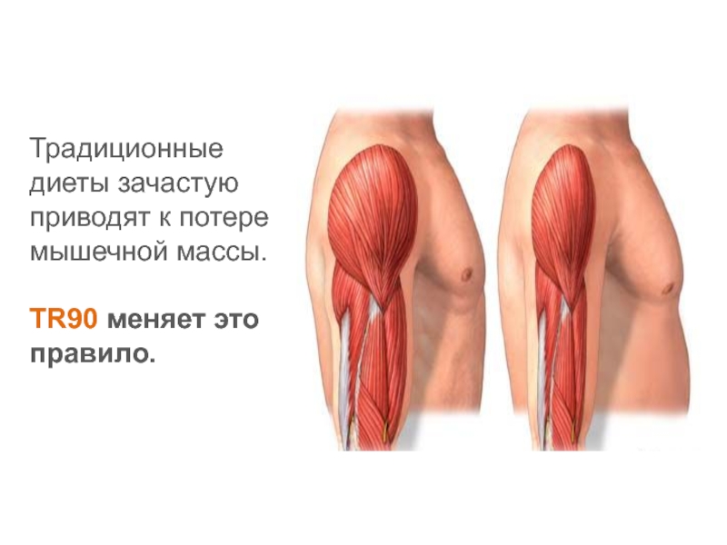 Мышца росла. Потеря мышечной массы. Слабые мышцы.