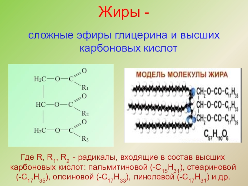 Сложные эфиры жиры презентация