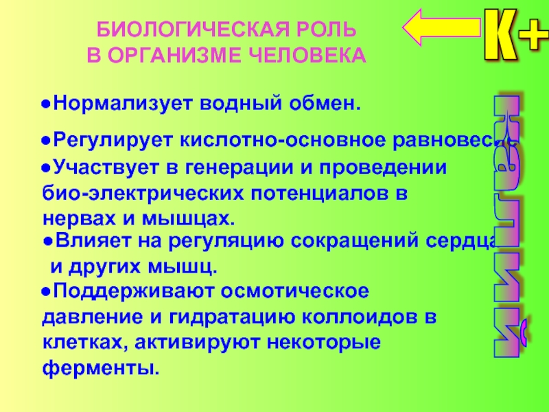 Биологическая роль металлов в организме человека презентация