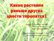 Какие растения раньше других цвести торопятся?