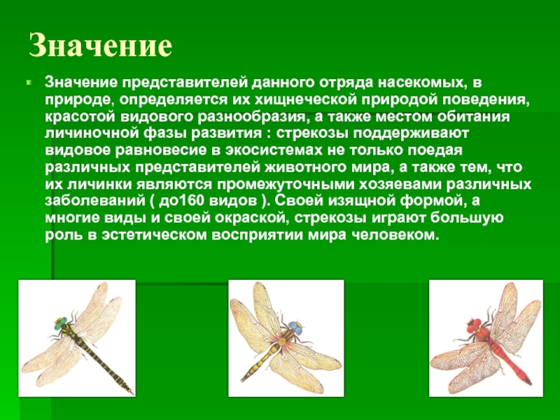 ЗначениеЗначение представителей данного отряда насекомых, в природе, определяется их хищнеческой природой поведения, красотой видового разнообразия, а также