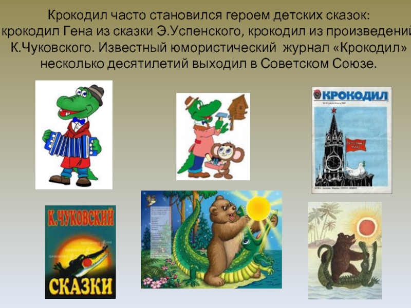 Крокодил часто становился героем детских сказок: крокодил Гена из сказки Э.Успенского, крокодил из произведений К.Чуковского. Известный юмористический