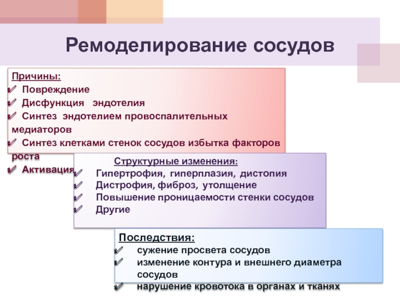 Синтез медиатора. Ремоделирование сосудов. Ремоделирование сосудистой стенки. Повреждения эндотелия причины.