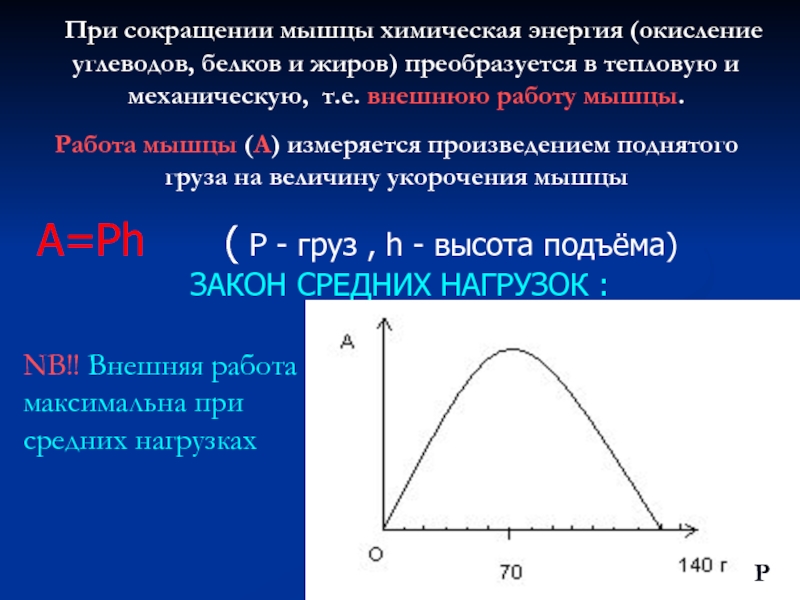 Нарисуйте график зависимости величины динамической работы изолированной мышцы от нагрузки