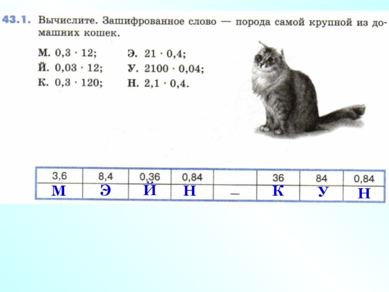 Слова породы кошек. Вычислите зашифрованное слово порода птиц. Пособие математический кошка. Вычислите зашифрованное слово порода немецкой охотничьей собаки. Вычислите зашифрованное слово порода птиц математика.