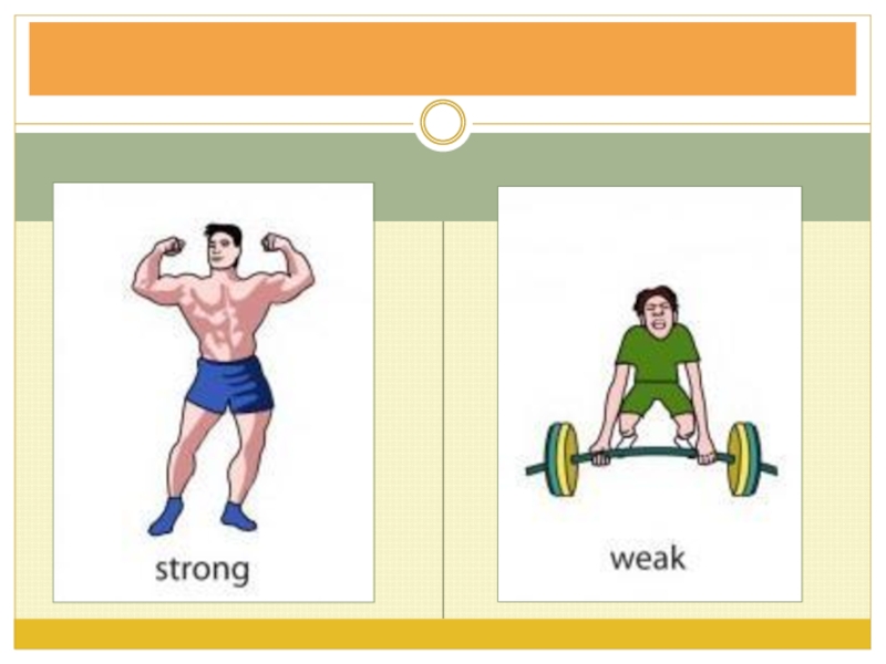 Adjective fat. Opposite презентация. Strong weak картинки для детей. Old New Flashcards for Kids. Fat thin на английском.