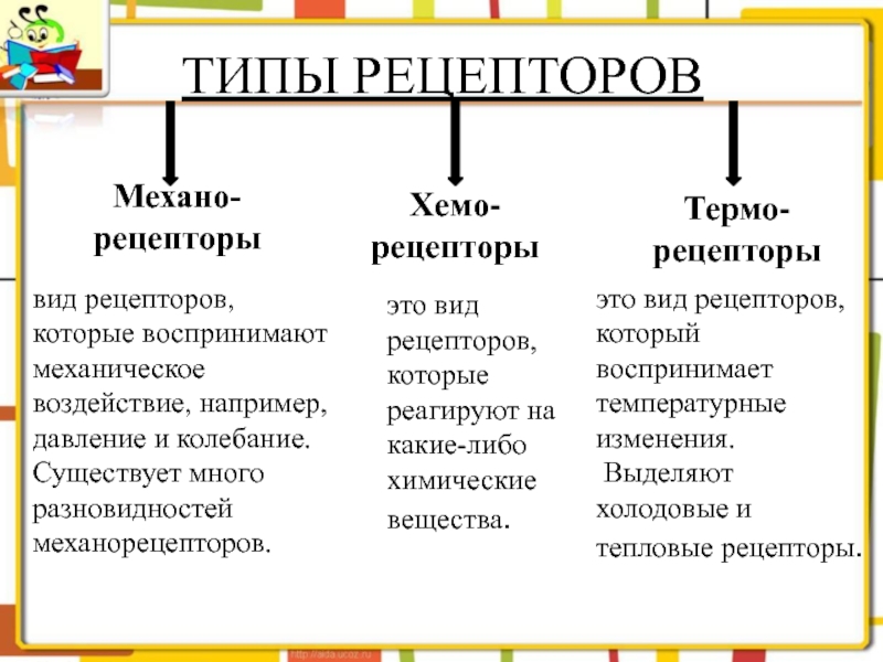 Типы рецепторов