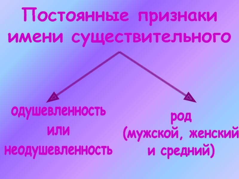 Постоянные признаки имени. Признаки имен существительных. Признаки имени существительного. Постоянные признаки имен существительных. Признаки выделенного существительного.