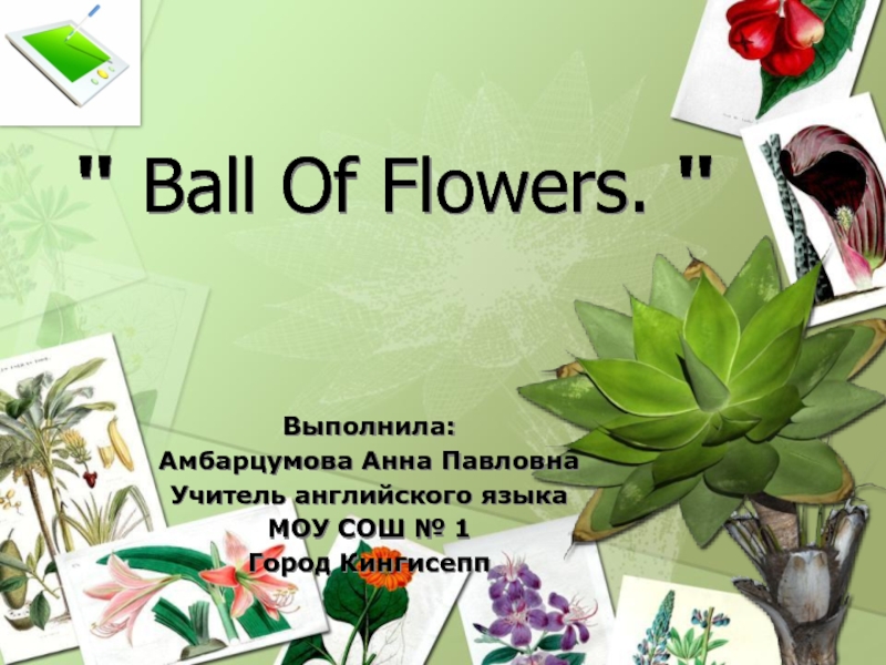 Презентация Ball Of Flowers