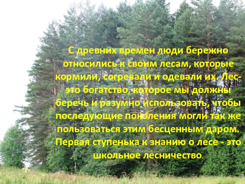 Бережное отношение 5 класс однкнр. Бережное отношение к лесу. Призыв к бережному отношению к лесу. Совет о бережном отношении к лесу. Стих о бережном отношении к лесу.