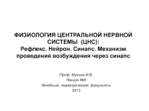 ФИЗИОЛОГИЯ ЦЕНТРАЛЬНОЙ НЕРВНОЙ СИСТЕМЫ (ЦНС): Рефлекс. Нейрон. Синапс. Механизм проведения возбуждения через синапс 