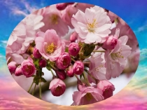 Презентация1