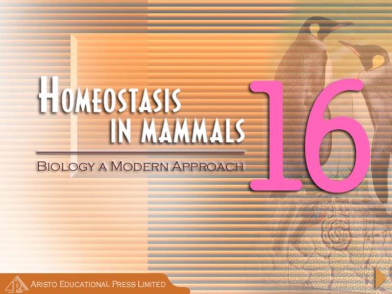 2HOMEOSTASIS_IN_MAMMALS__AR