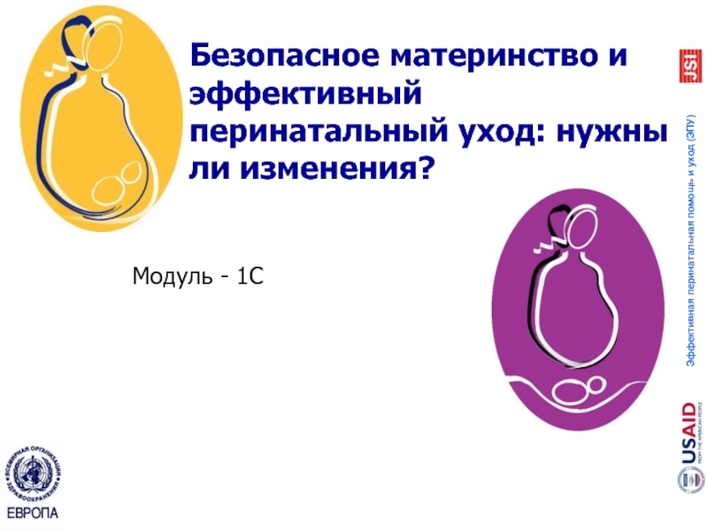 Презентация Безопасное материнство и эффективный перинатальный уход : нужны ли изменения ?
