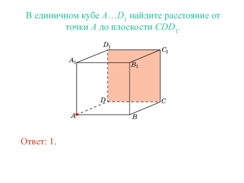 В единичном кубе A…D1 найдите расстояние от точки A до плоскости CDD1.Ответ: 1.