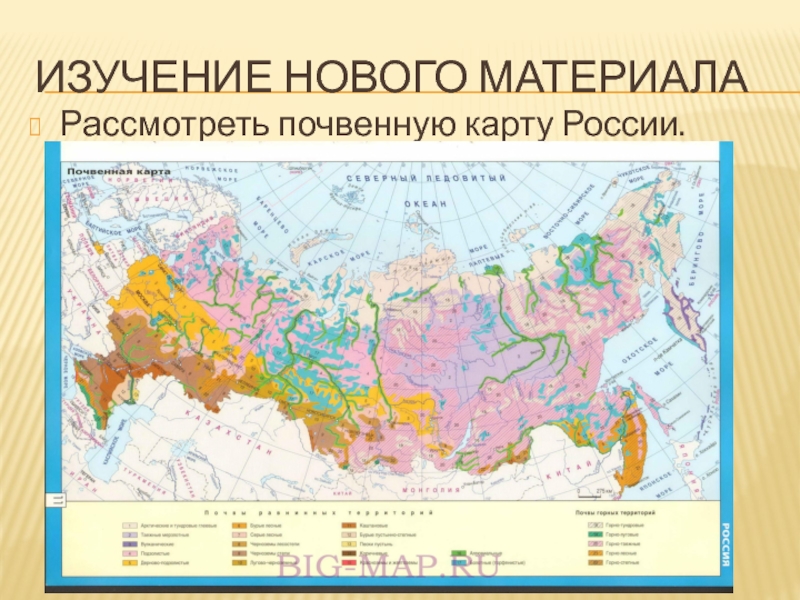 География почв 8 класс презентация