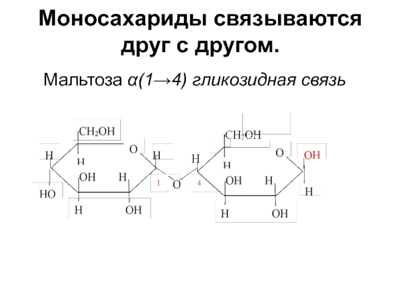 Гликозидная интоксикация