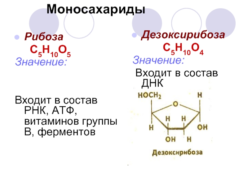 В днк входит рибоза