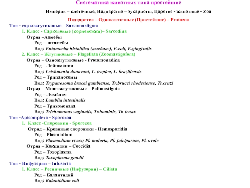 Реферат: Класс жгутиковые: лейшмании, трихомонады, лямблии, трипаносомы