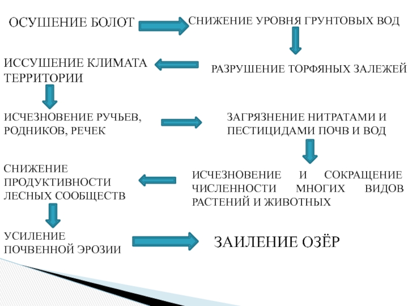 К чему приводит осушение болот. Экологические проблемы осушения. Последствия осушения болот. Экологические последствия осушения. Причины осушения болот.