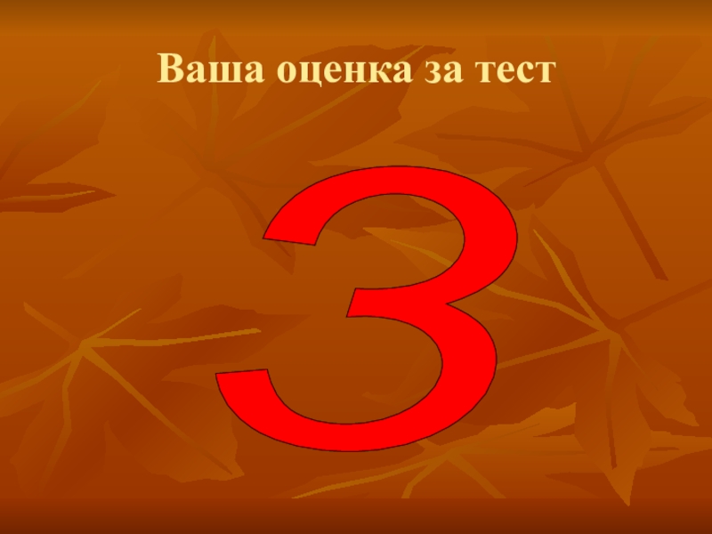 Оценка 5 0