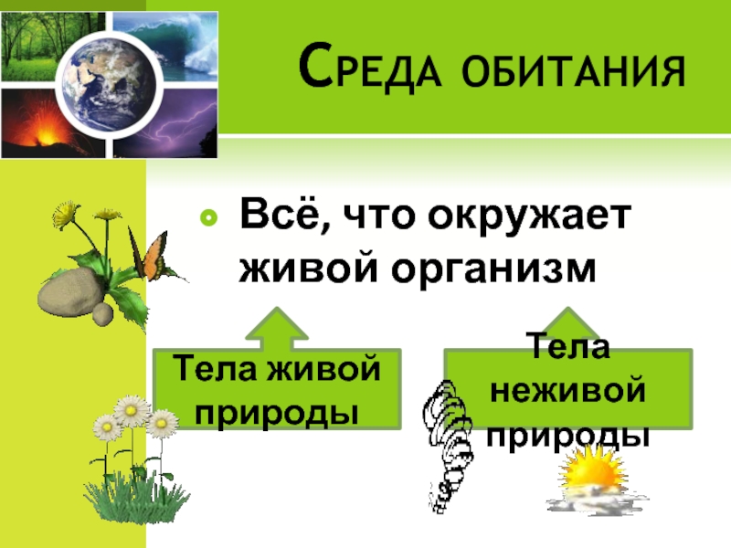 Тела живой природы 5 класс. Окружающая среда состоит из живых и неживых. Как назвать все то что окружает живой организм в природе. Среда обитания – это все, что окружает организм.. Модель связи (1) живого организма с окружающей средой.