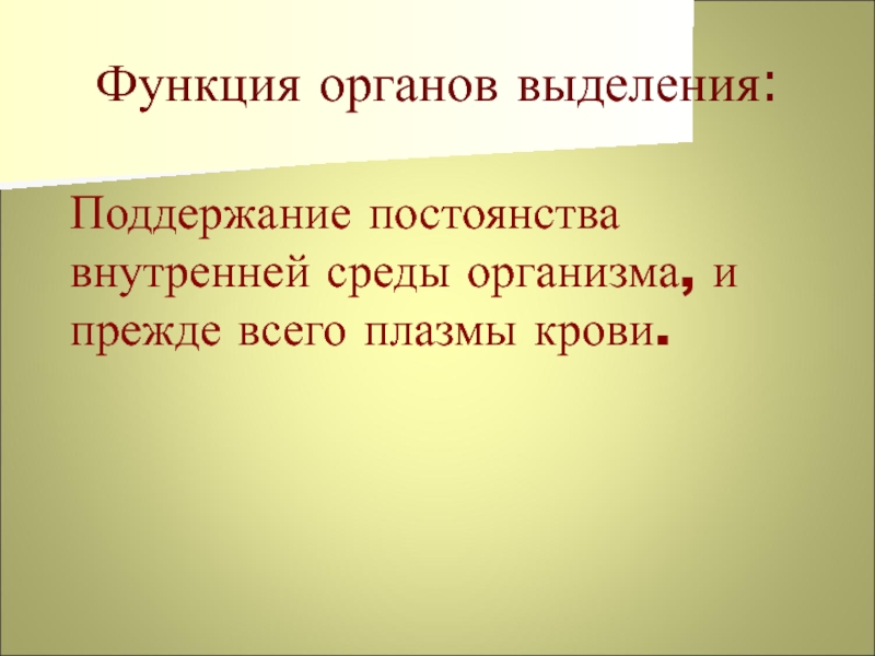 Поддержание постоянства внутренней среды организма. Лабиринт романа. Роман-Лабиринт мастер и Маргарита. Поддержание постоянства. Что входит в Роман.