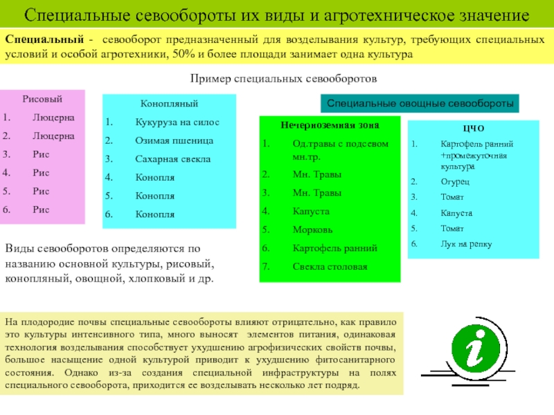 Типы севооборотов овощных культур